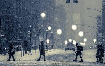 Iste aliquid rem quas id qui.