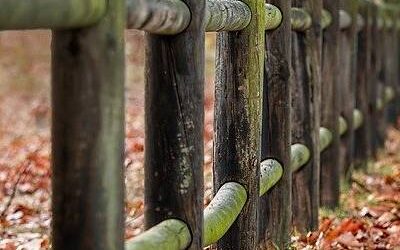Consequuntur rerum totam sunt nemo.